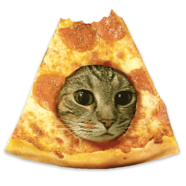 pizzcat
